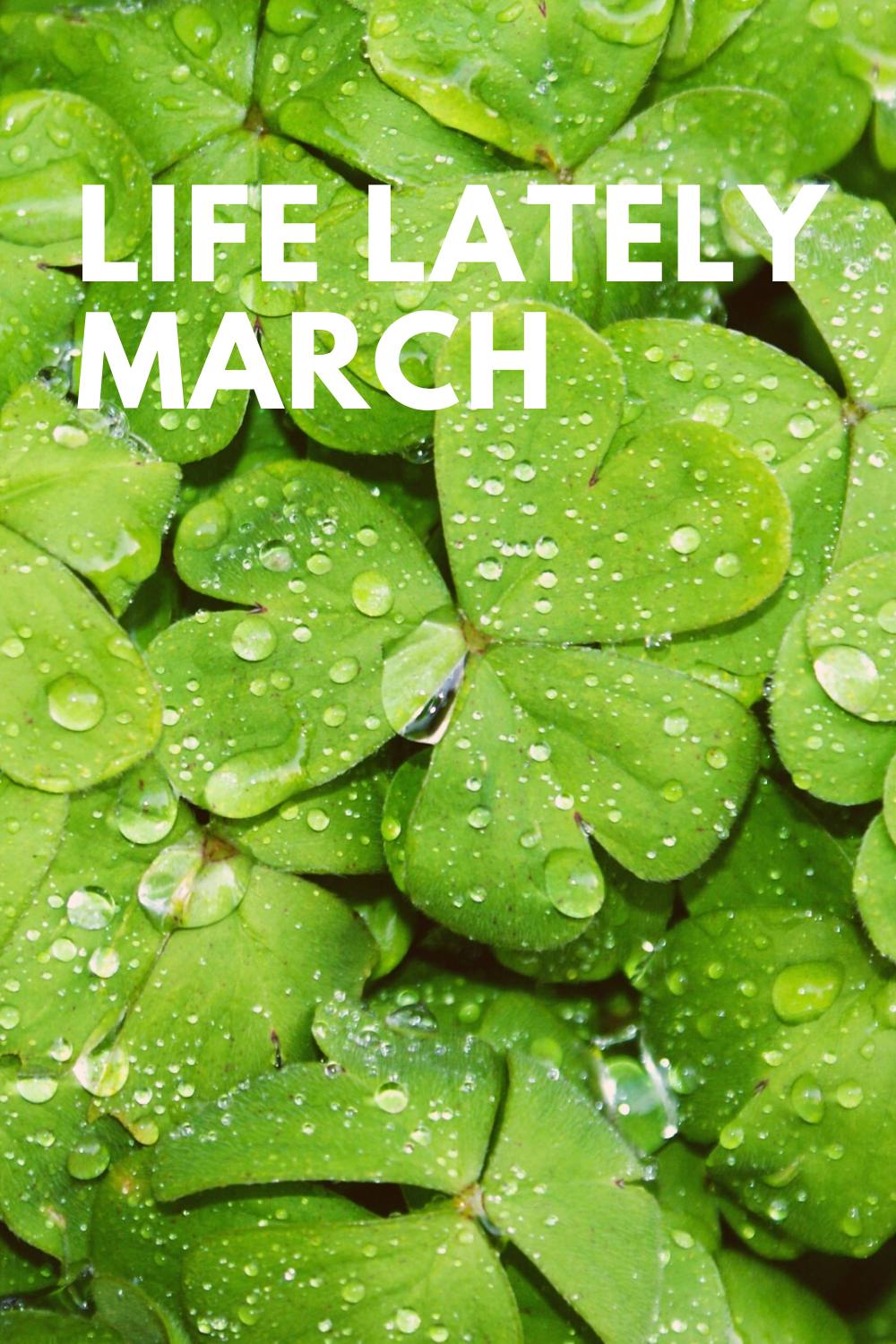 Life Lately | March