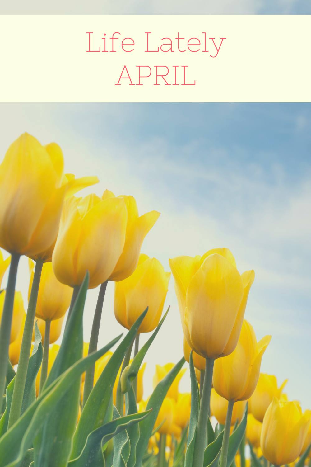 Life Lately | April