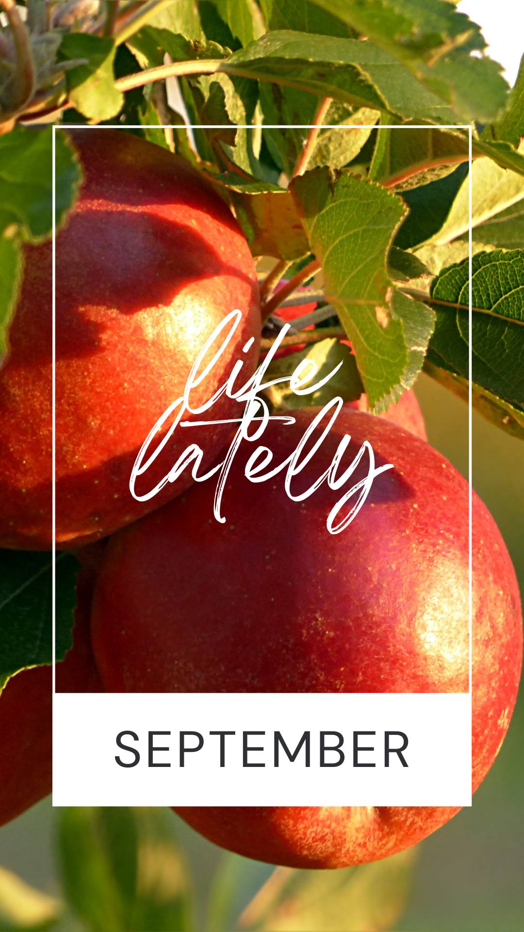 Life Lately | September