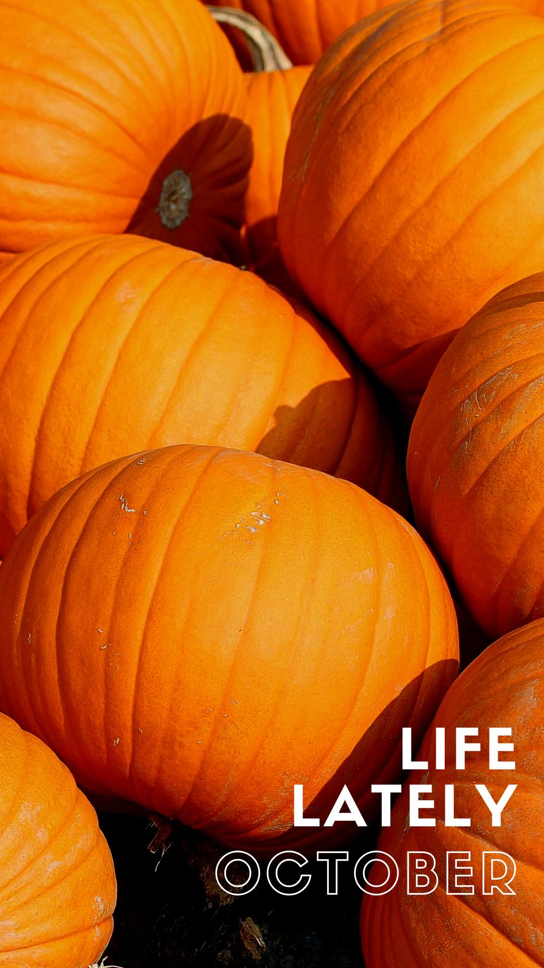 Life Lately | October