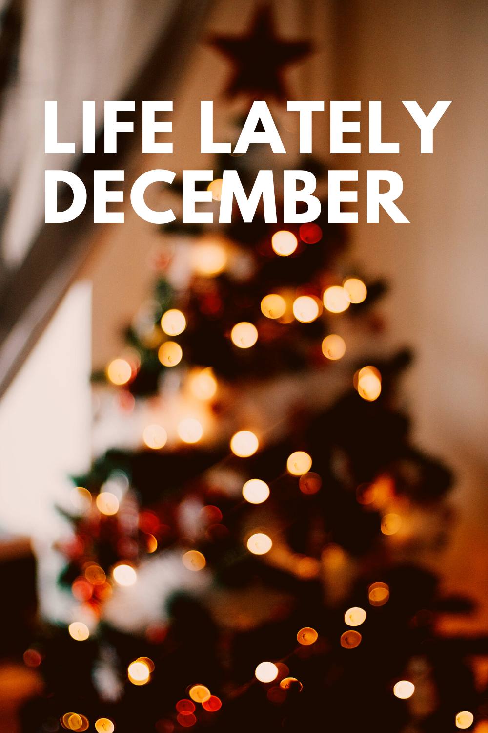 Life Lately | December