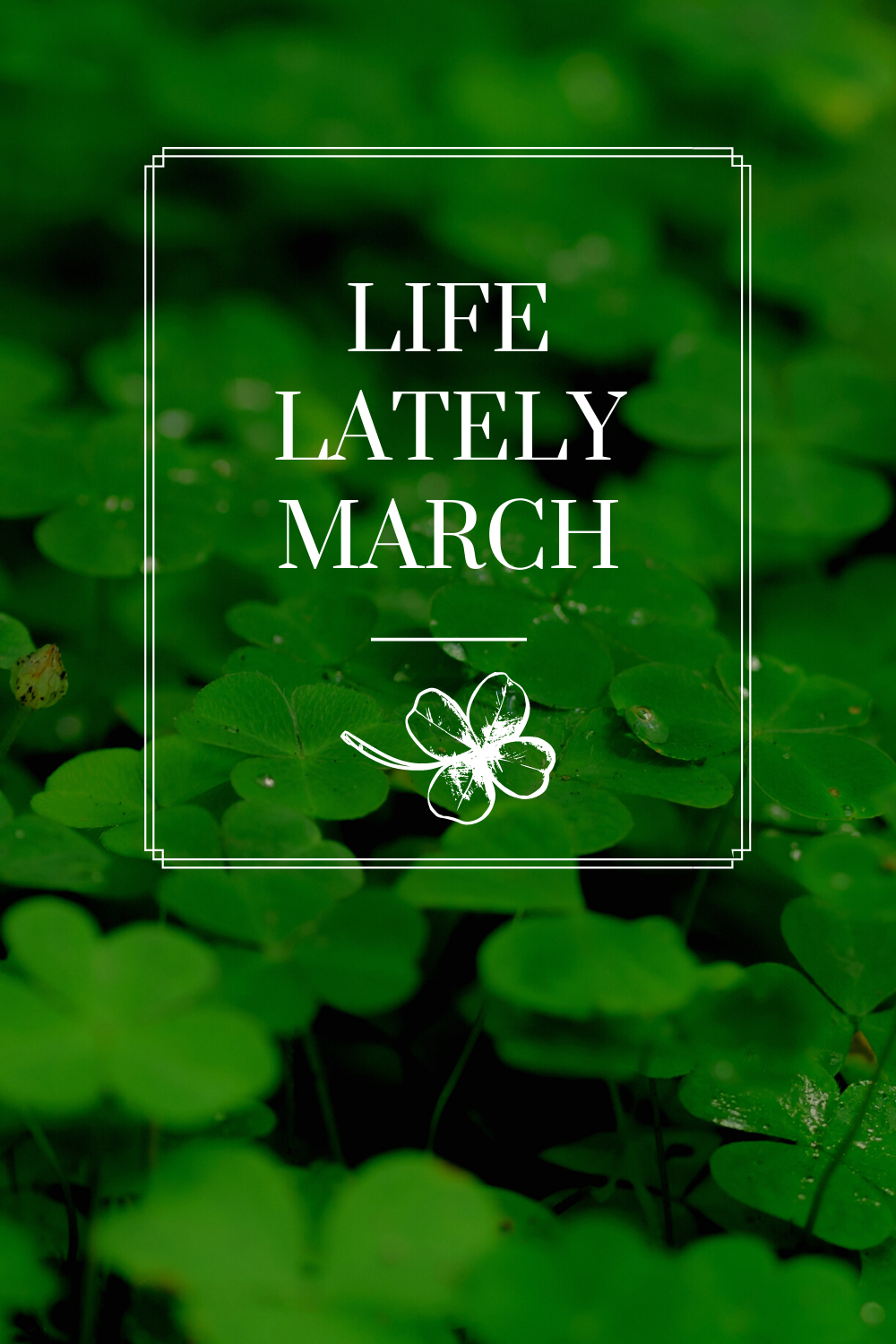 Life Lately | March