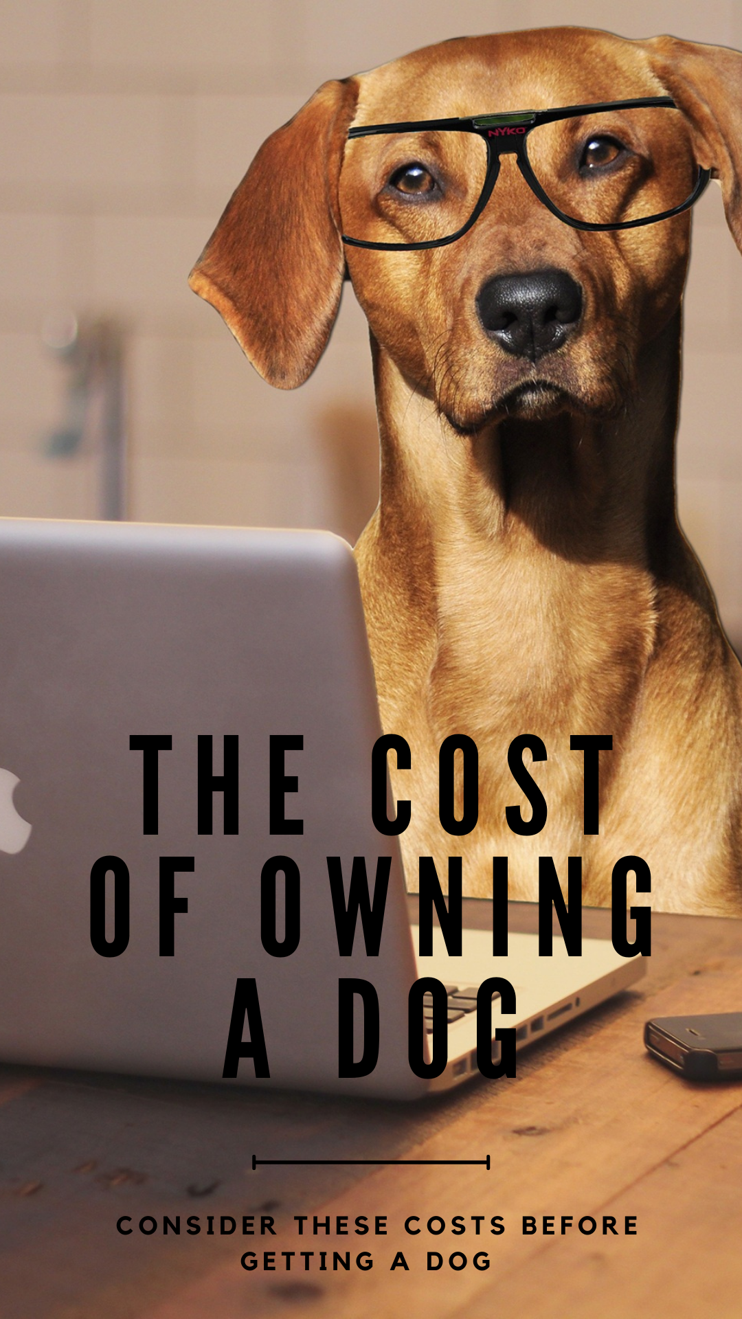 Costs to Consider Before Owning a Dog