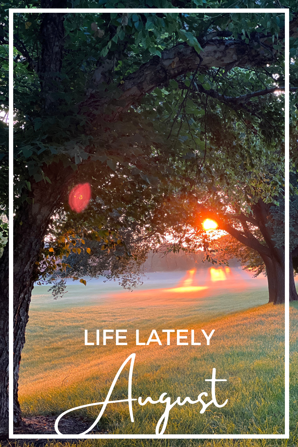 Life Lately | August