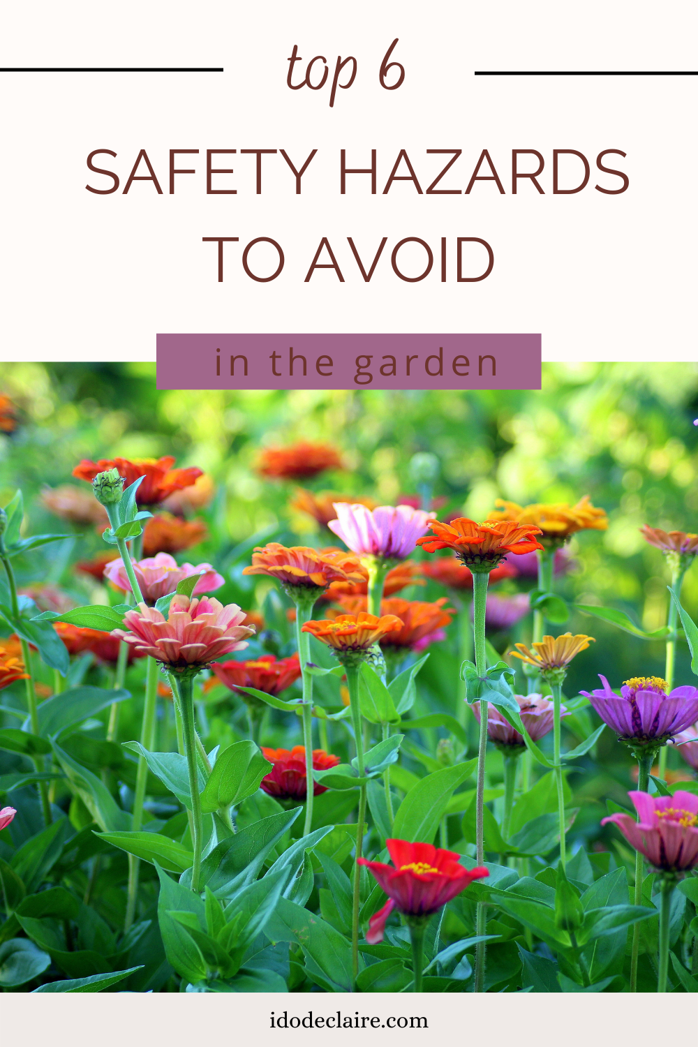 The Top Safety Hazards to Avoid in the Garden