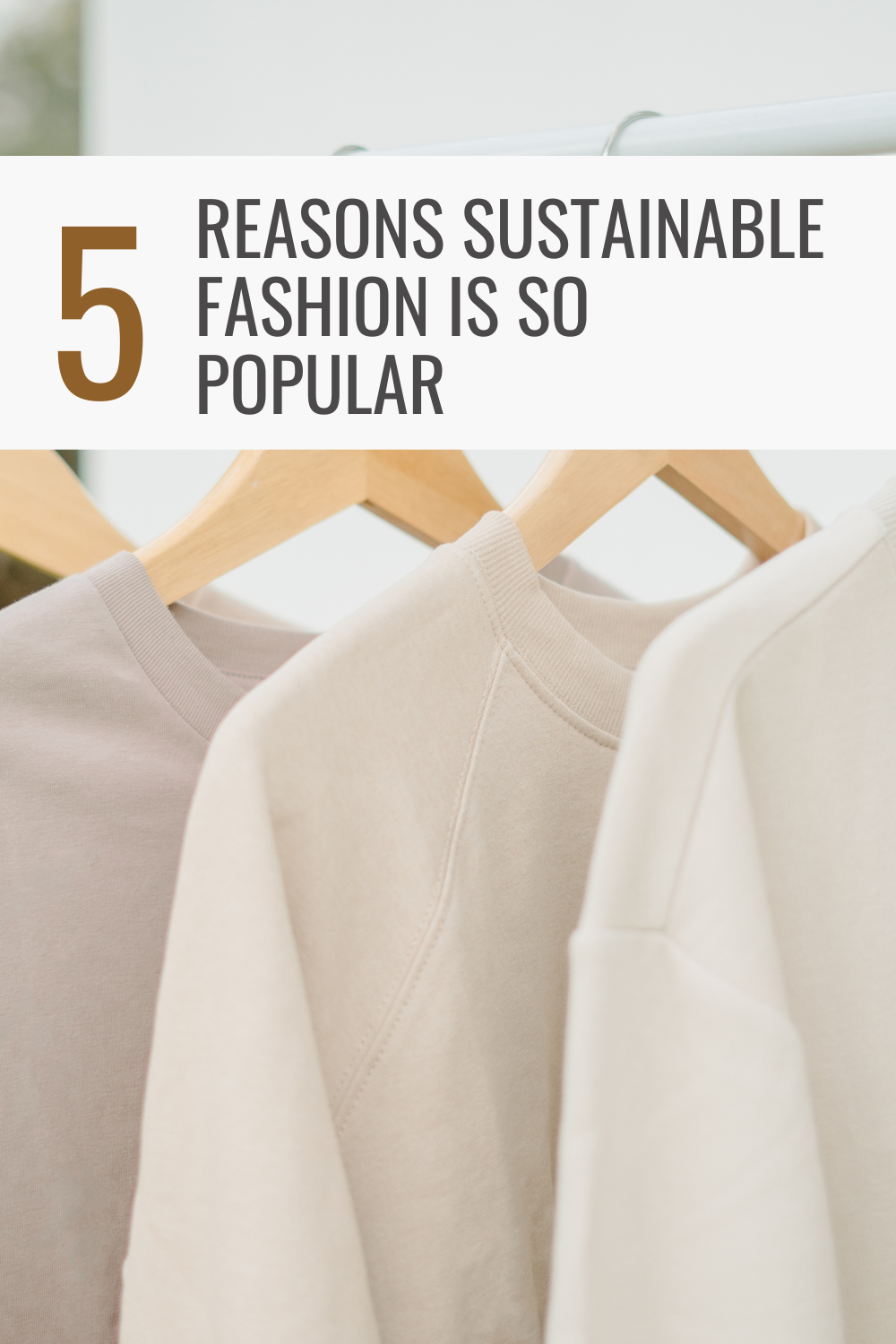 5 Reasons Sustainable Fashion Is So Popular