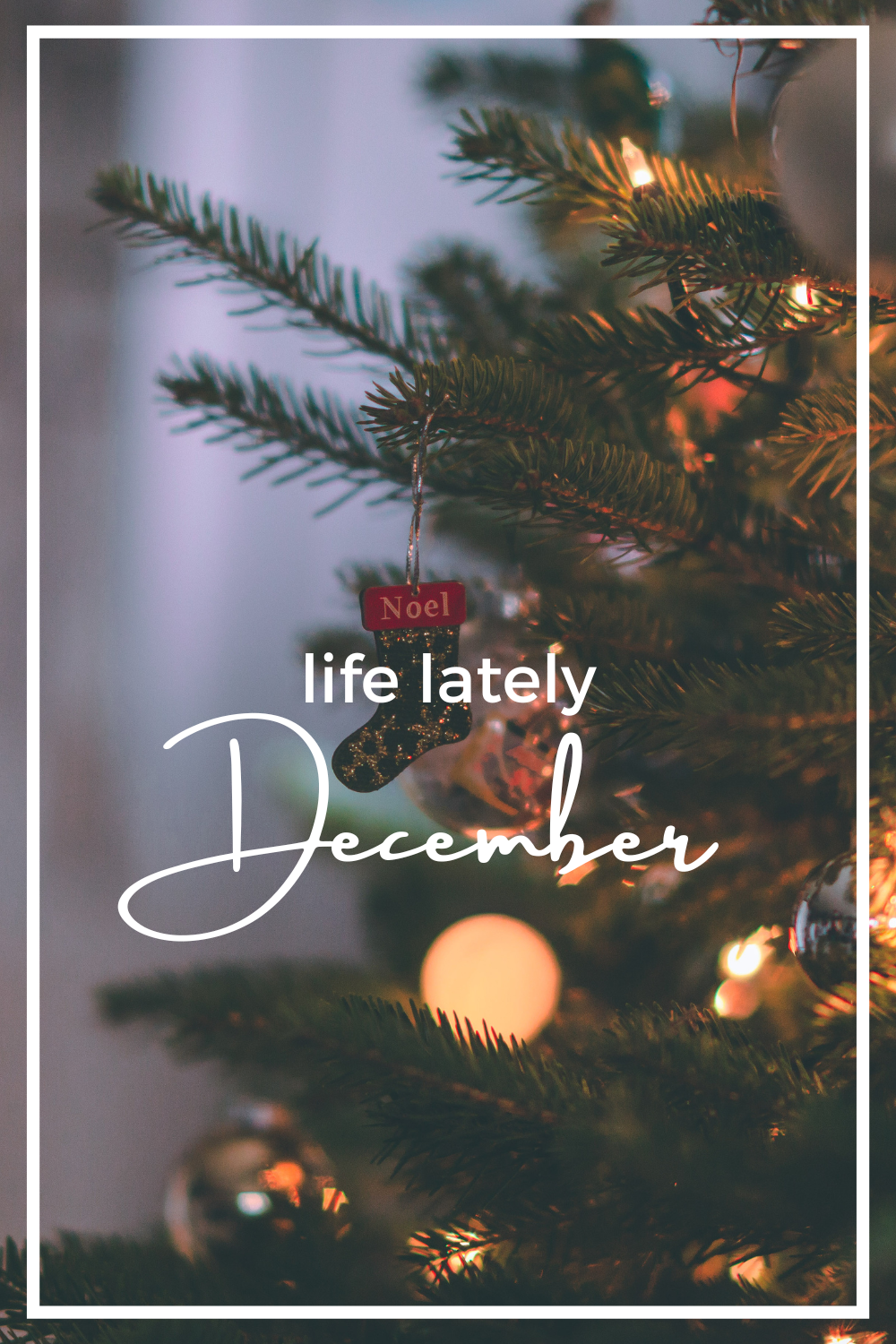 Life Lately | December