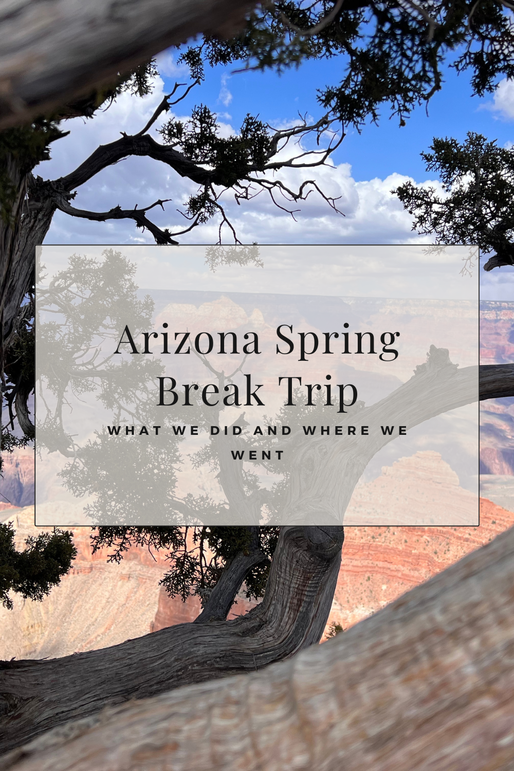 Arizona Spring Break Trip Recap