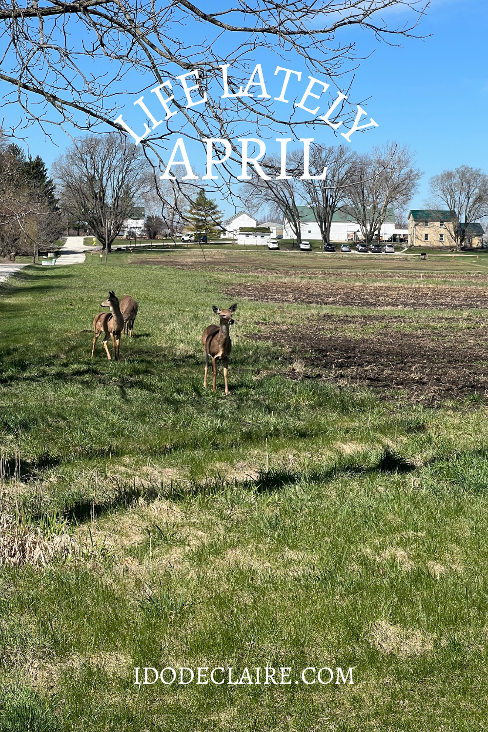 April | Life Lately