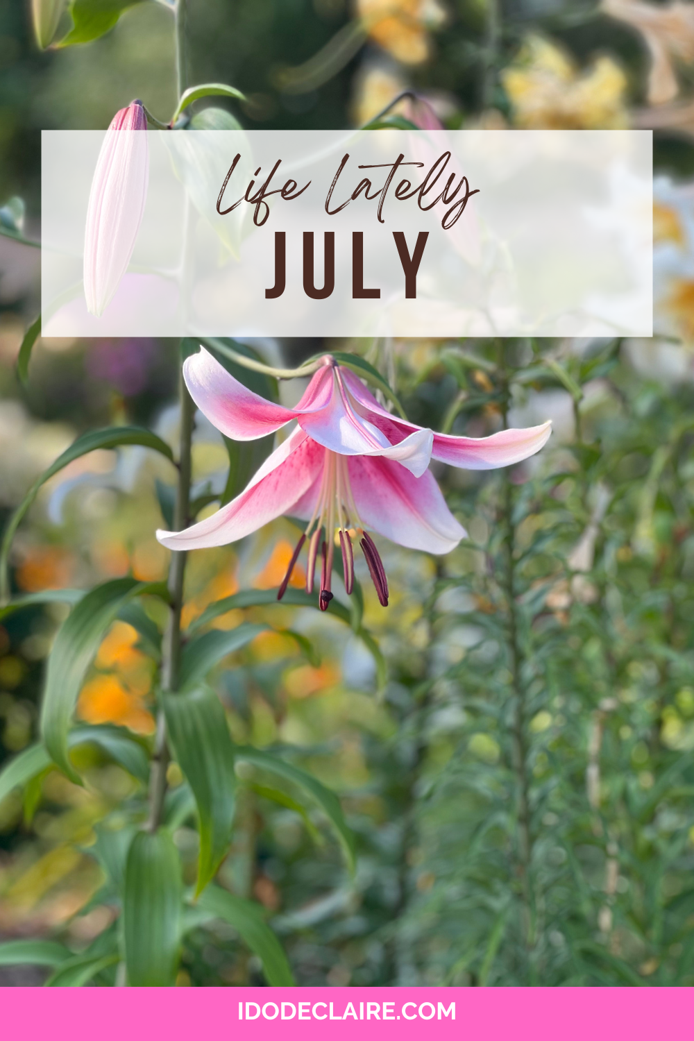 Life Lately | July