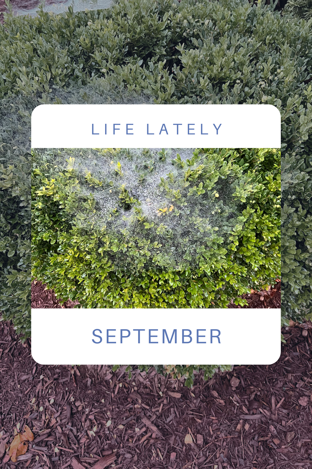 Life Lately | September