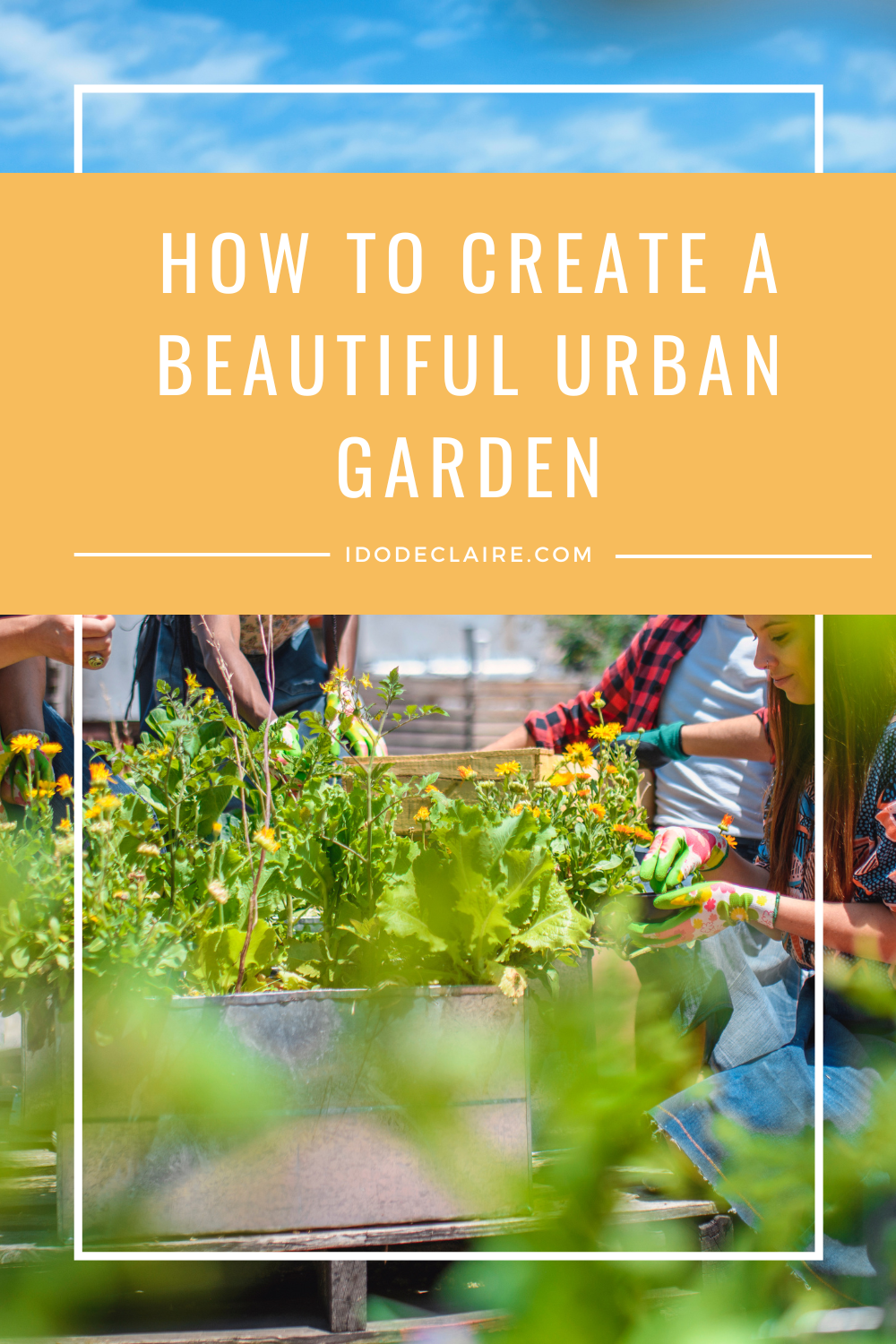 How to Create a Beautiful Urban Garden