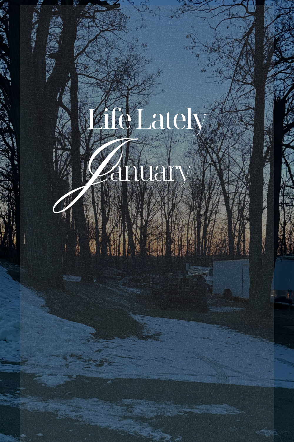 Life Lately | January