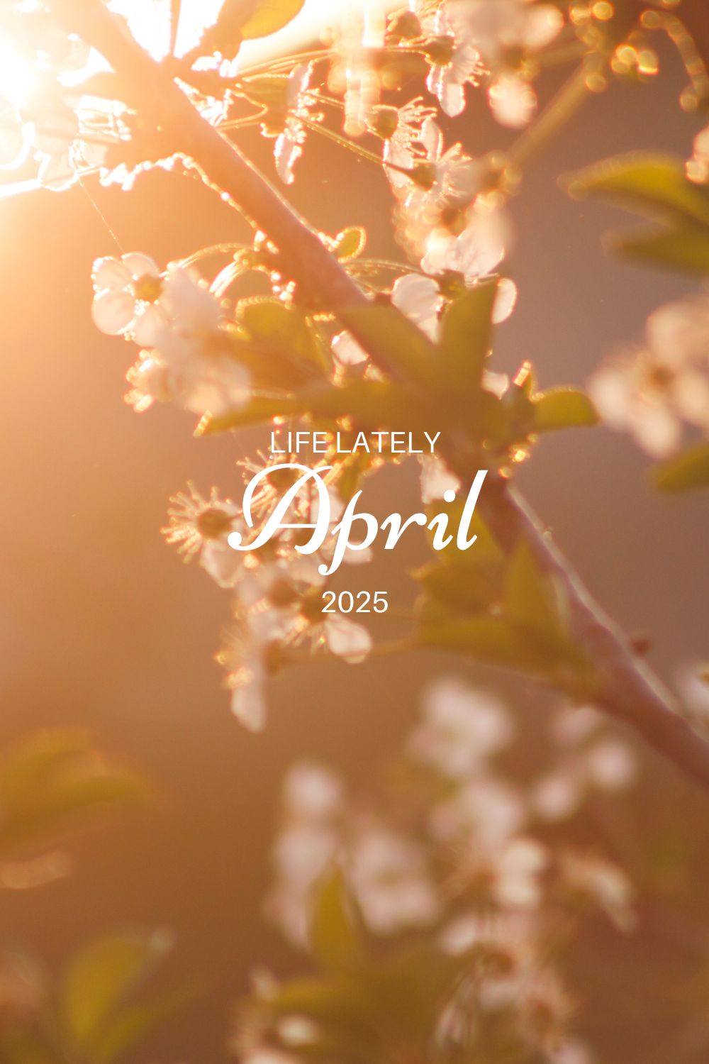 Life Lately | April 2025