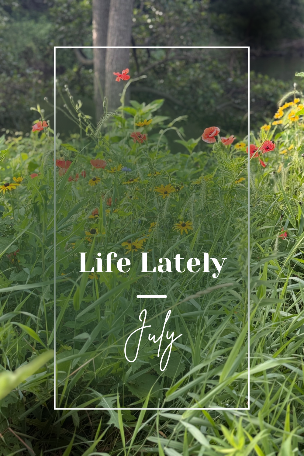 Life Lately | July 2025
