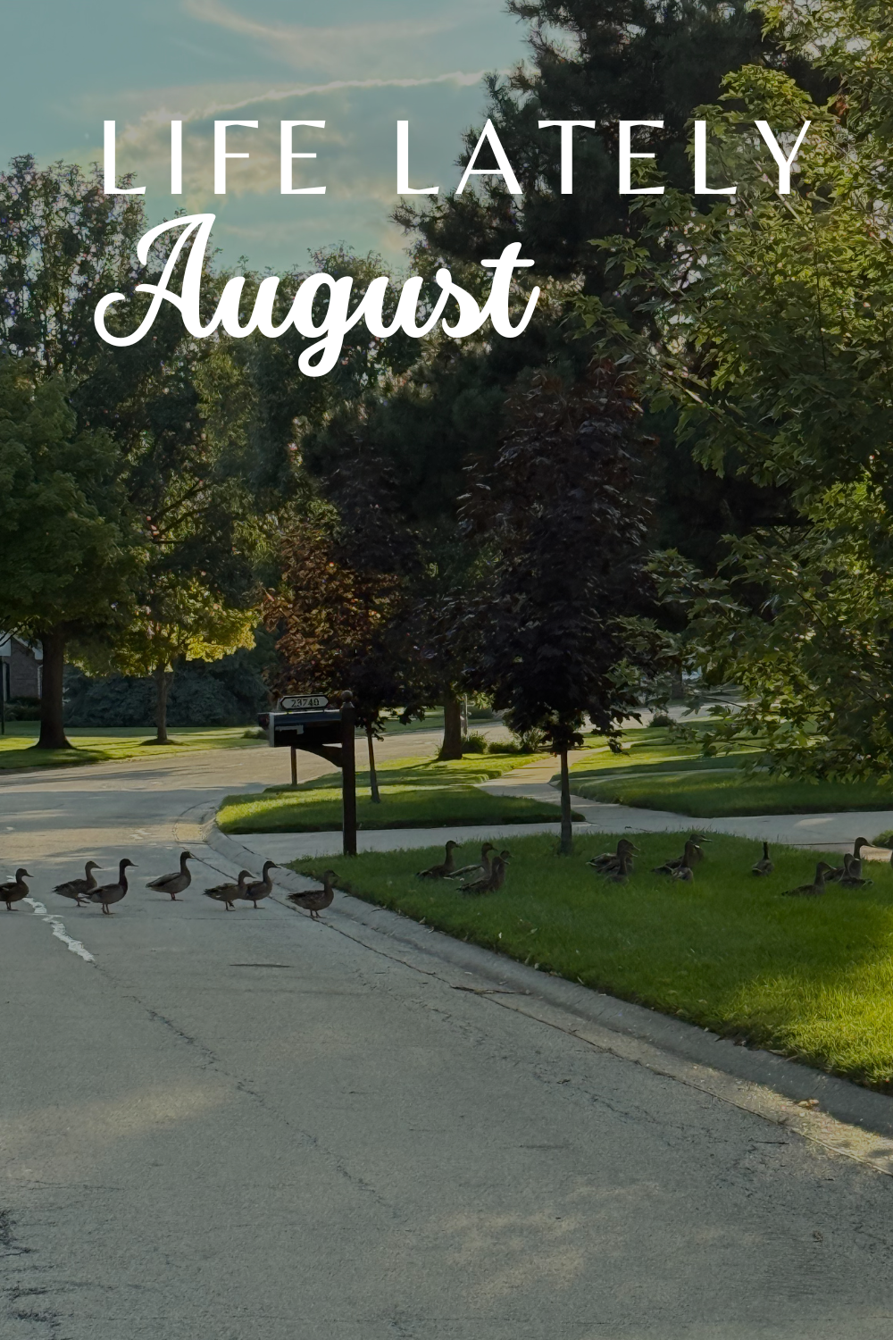 Life Lately | August