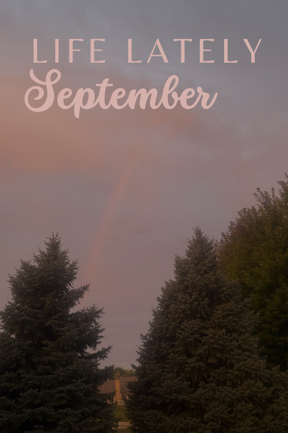 Life Lately | September 2025