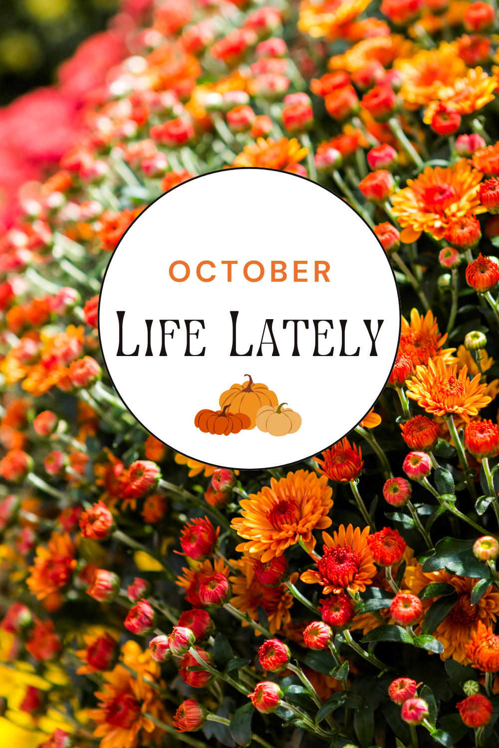 Life Lately | October