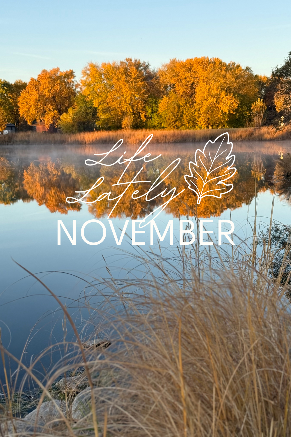 Life Lately | November 2025
