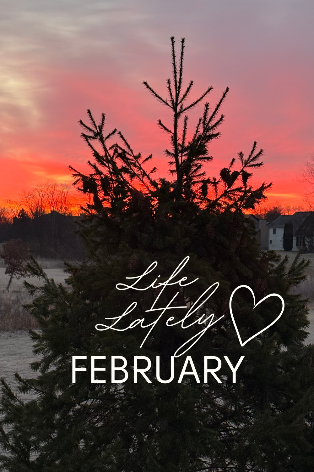 Life Lately | February 2026