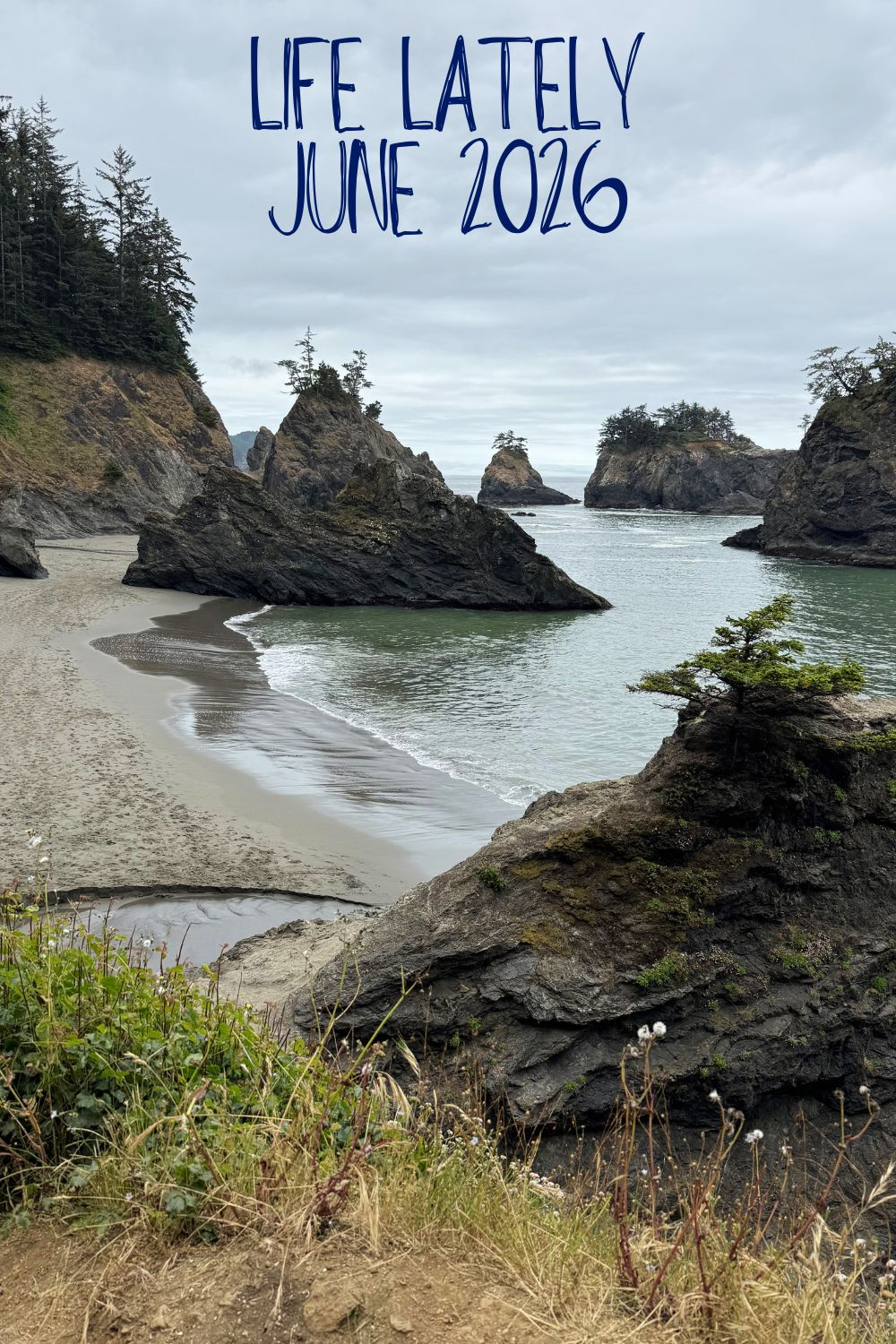 Life Lately | June 2026