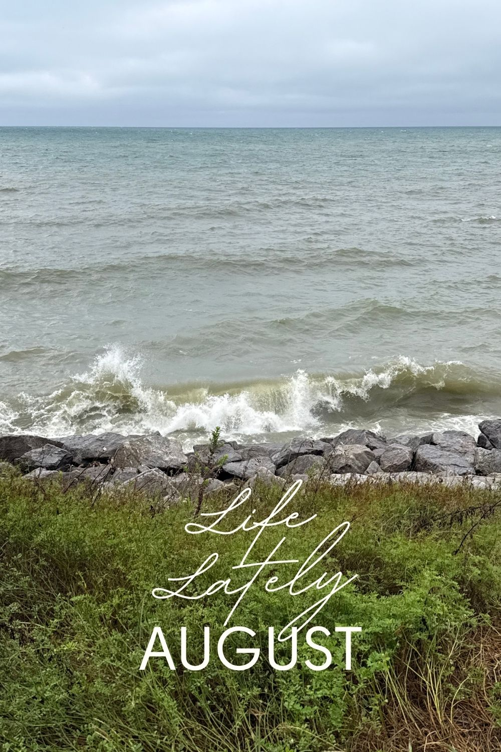 Life Lately | August 2026