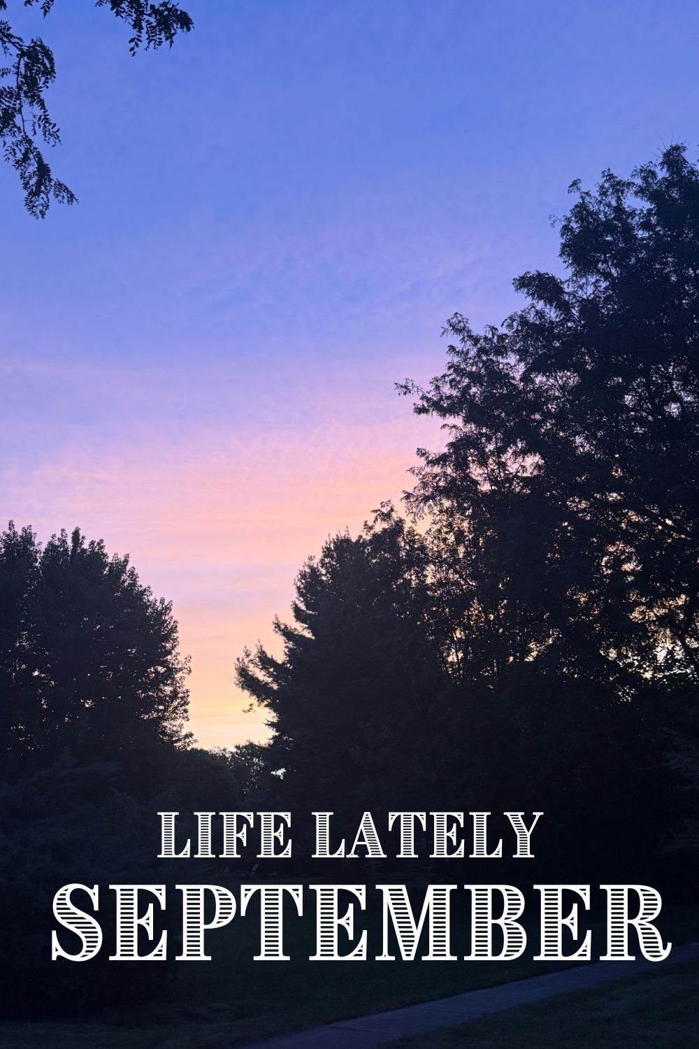 Life Lately | September