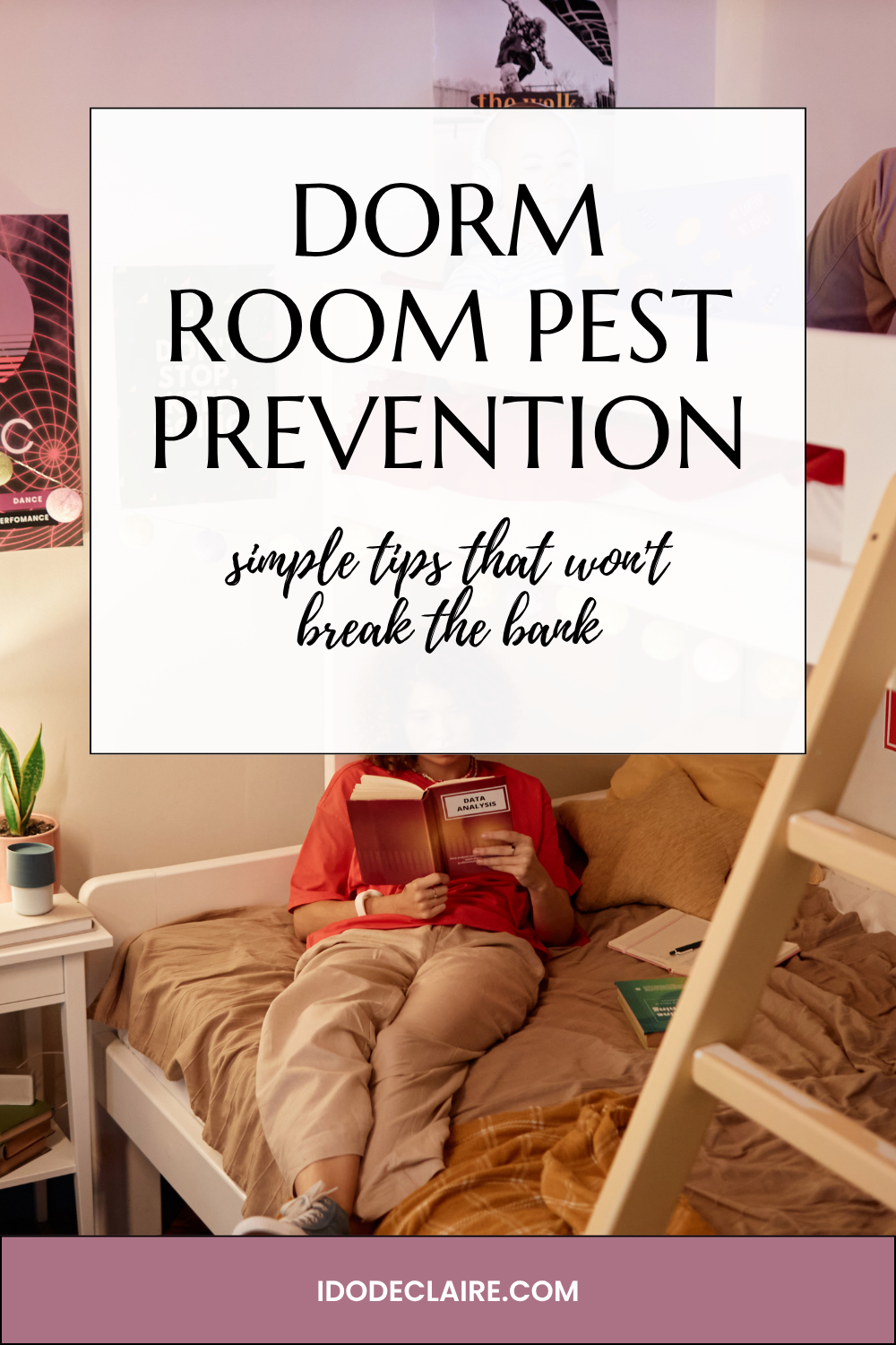 Back-to-School Budget Hacks: How to Keep Your Dorm Room Pest-Free Without Breaking the Bank